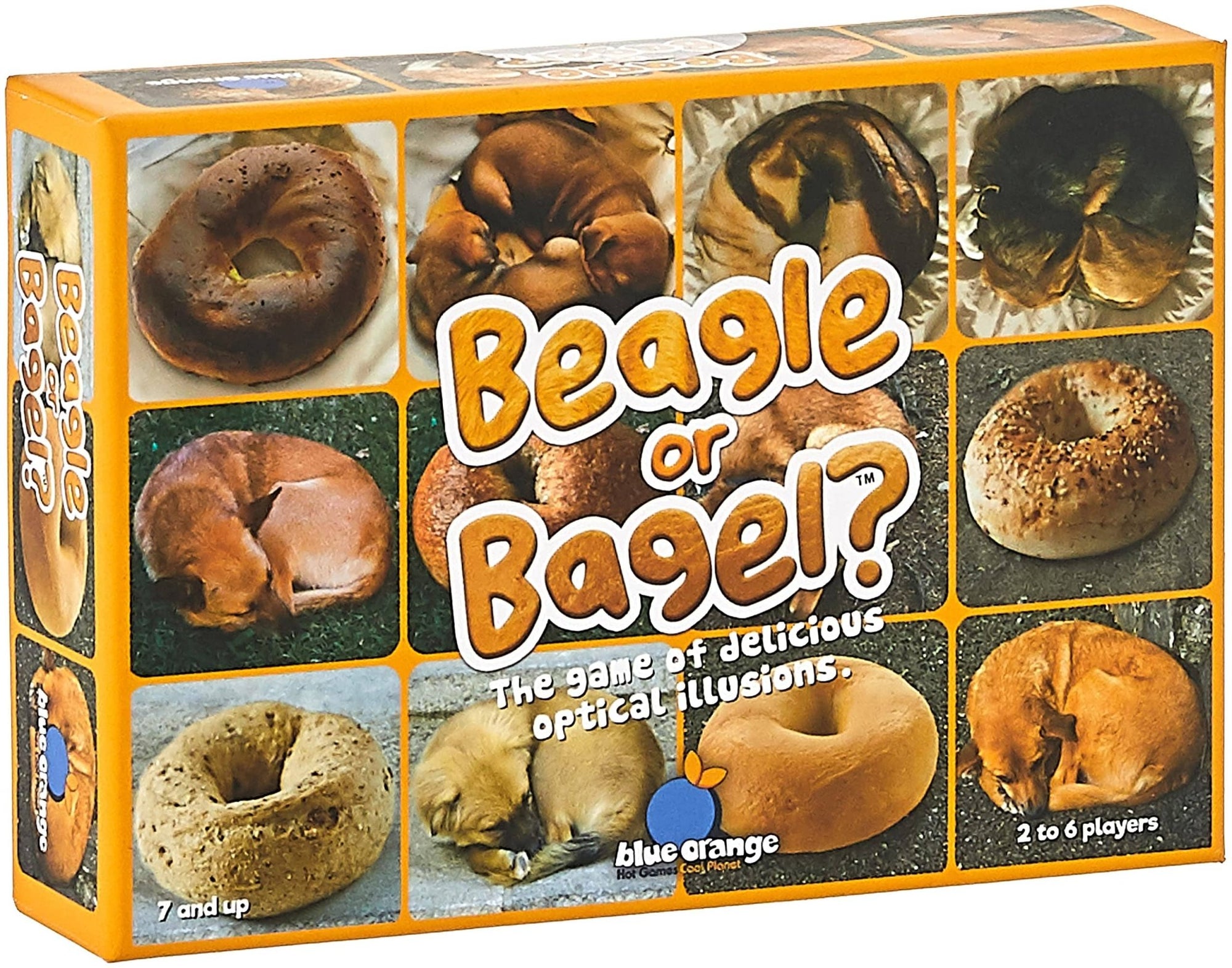 Blue Orange Usa Beagle or Bagel - Lost City Toys