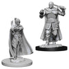 D&D: Nolzur's Marvelous Minis: Human Ranger & Moon Elf Sorcerer W8 (Unpainted) - Lost City Toys