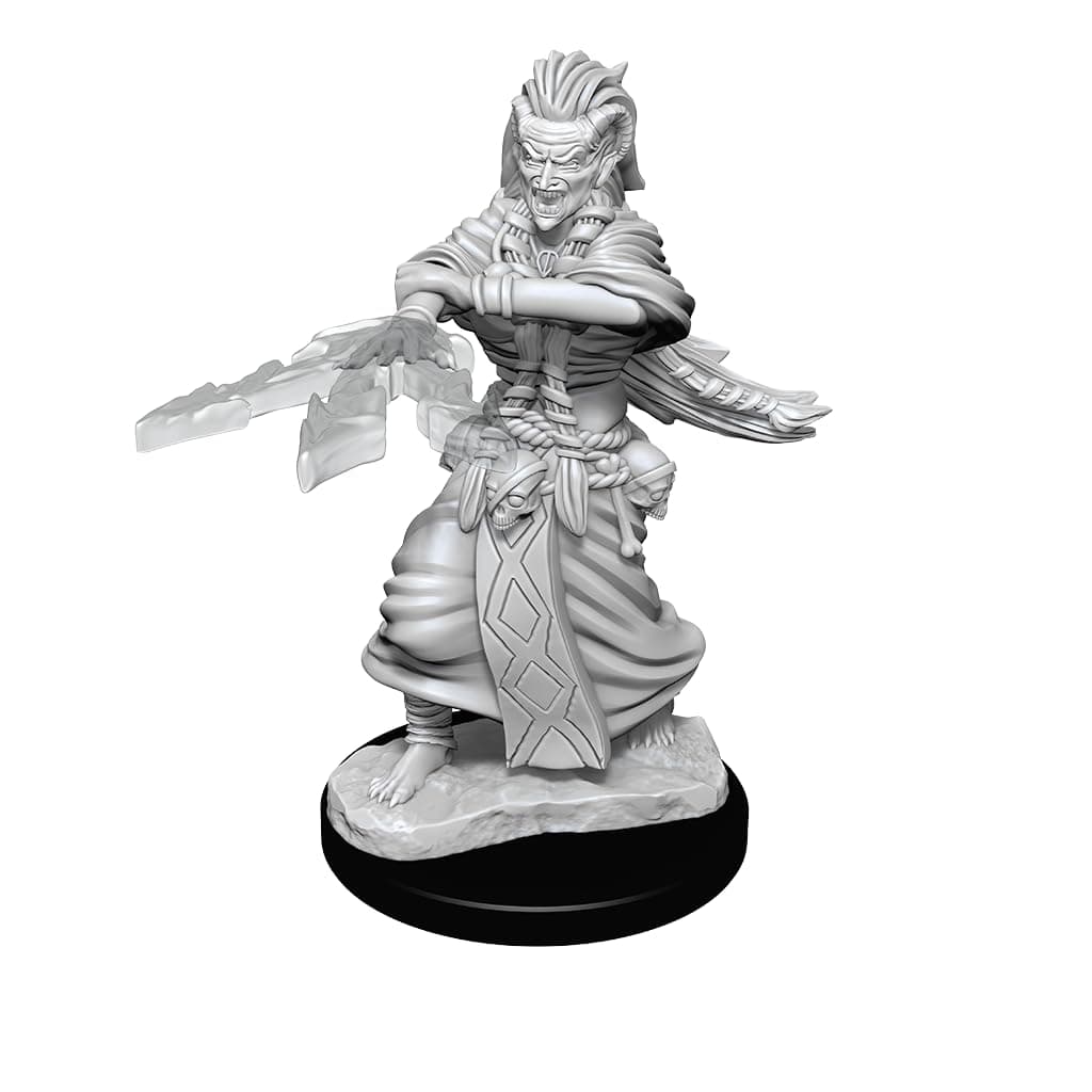 D&D Nolzur's Marvelous Unpainted Miniatures - W14 Night Hag & Dusk Hag - Lost City Toys