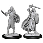 Pathfinder Deep Cuts Unpainted Miniatures: W14 Human Champion Female - Lost City Toys