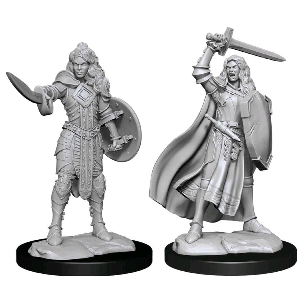 Pathfinder Deep Cuts Unpainted Miniatures: W14 Human Champion Female - Lost City Toys