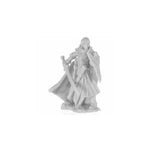Reaper Miniatures Bones: Alandin, Elf Paladin - Lost City Toys