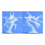 Reaper Miniatures Numenera: Bones: Erynth Grask - Lost City Toys