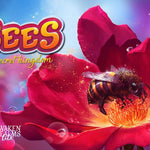 Van Ryder Games Bees: The Secret Kingdom - Lost City Toys