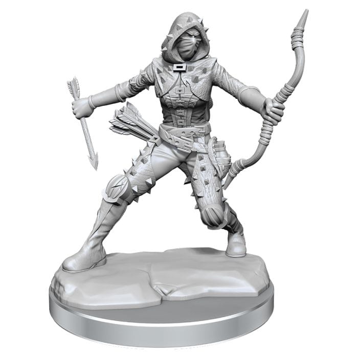 WizKids D&D: Frameworks: Human Rogue Female W1 - Lost City Toys