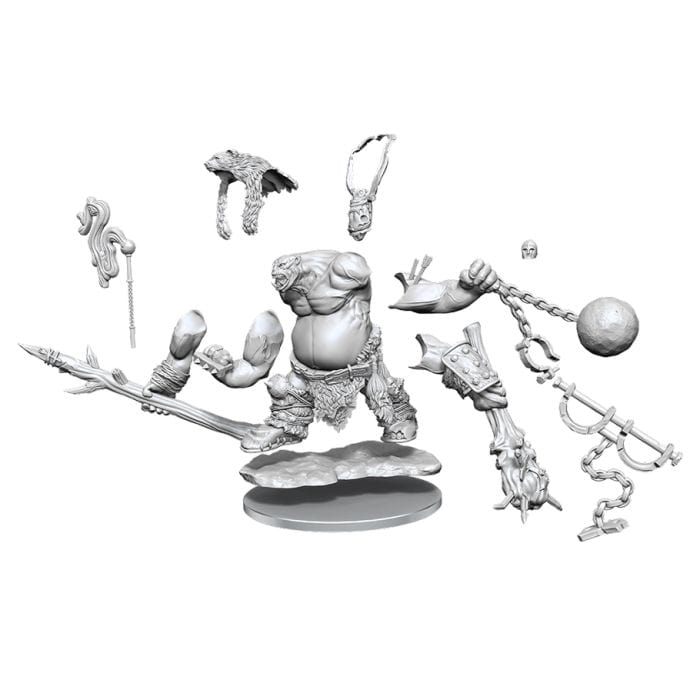 WizKids D&D: Frameworks: Ogre W1 - Lost City Toys