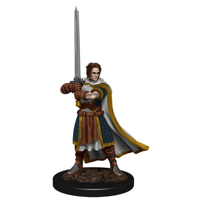 WizKids D&D: Icons of the Realms: Premium Figure: Human Cleric Male - Lost City Toys