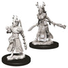 WizKids D&D: Nolzur's Marvelous Minis: Female Human Druid W9 (Unpainted) - Lost City Toys