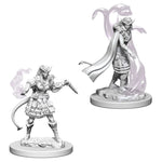 WizKids D&D: Nolzur's Marvelous Minis: Tiefling Female Sorcerer W4 (Unpainted) - Lost City Toys