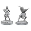 WizKids Pathfinder: Deep Cuts: Half - Elf Monk Females - Lost City Toys