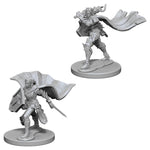 WizKids Pathfinder: Deep Cuts Minis: Elf Female Paladin W4 (Unpainted) - Lost City Toys