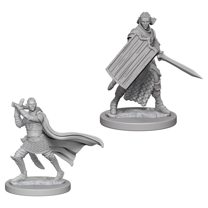 WizKids Pathfinder: Deep Cuts Minis: Elf Male Paladin W2 (Unpainted) - Lost City Toys